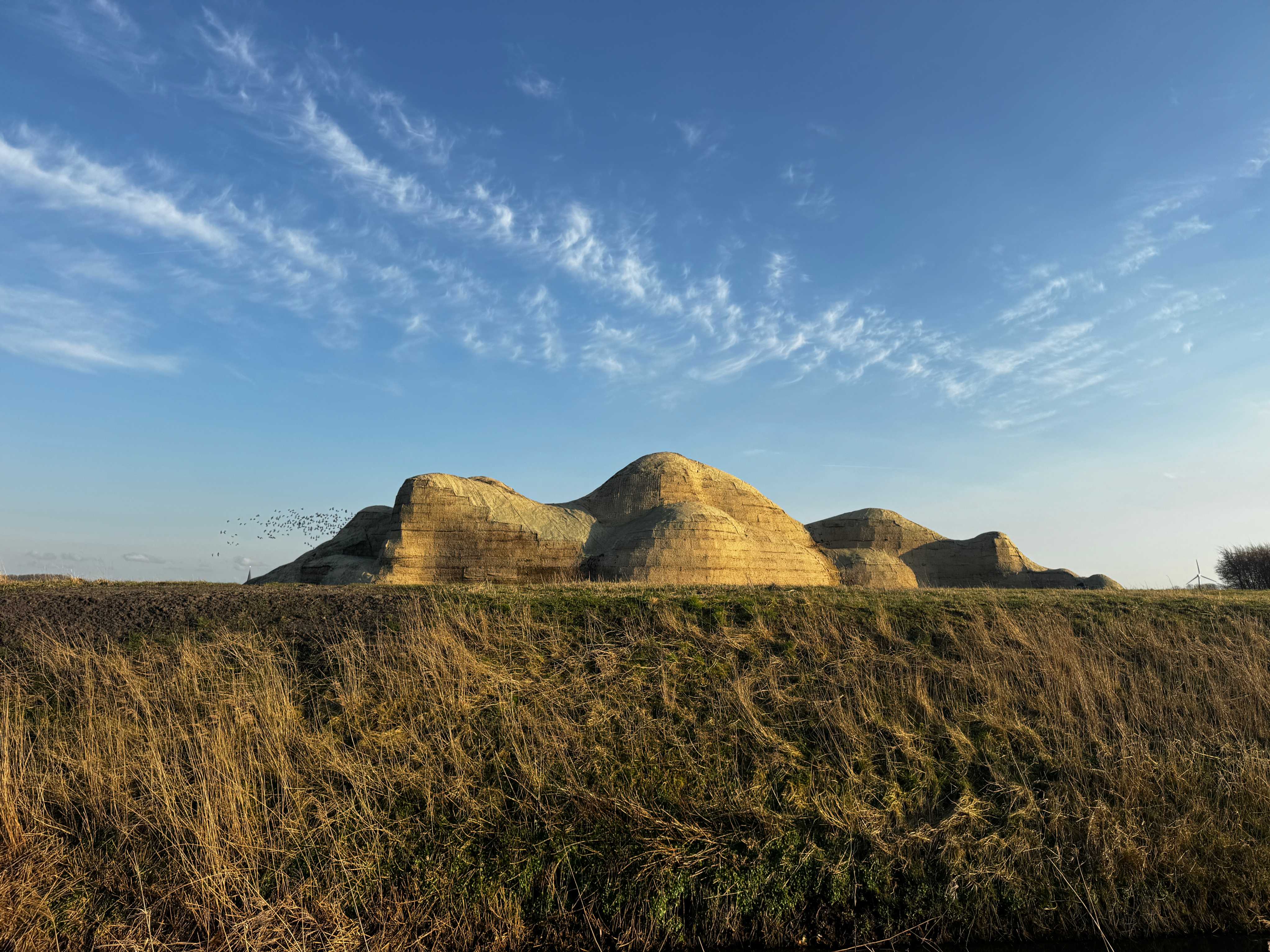 Het Waddenlandschap